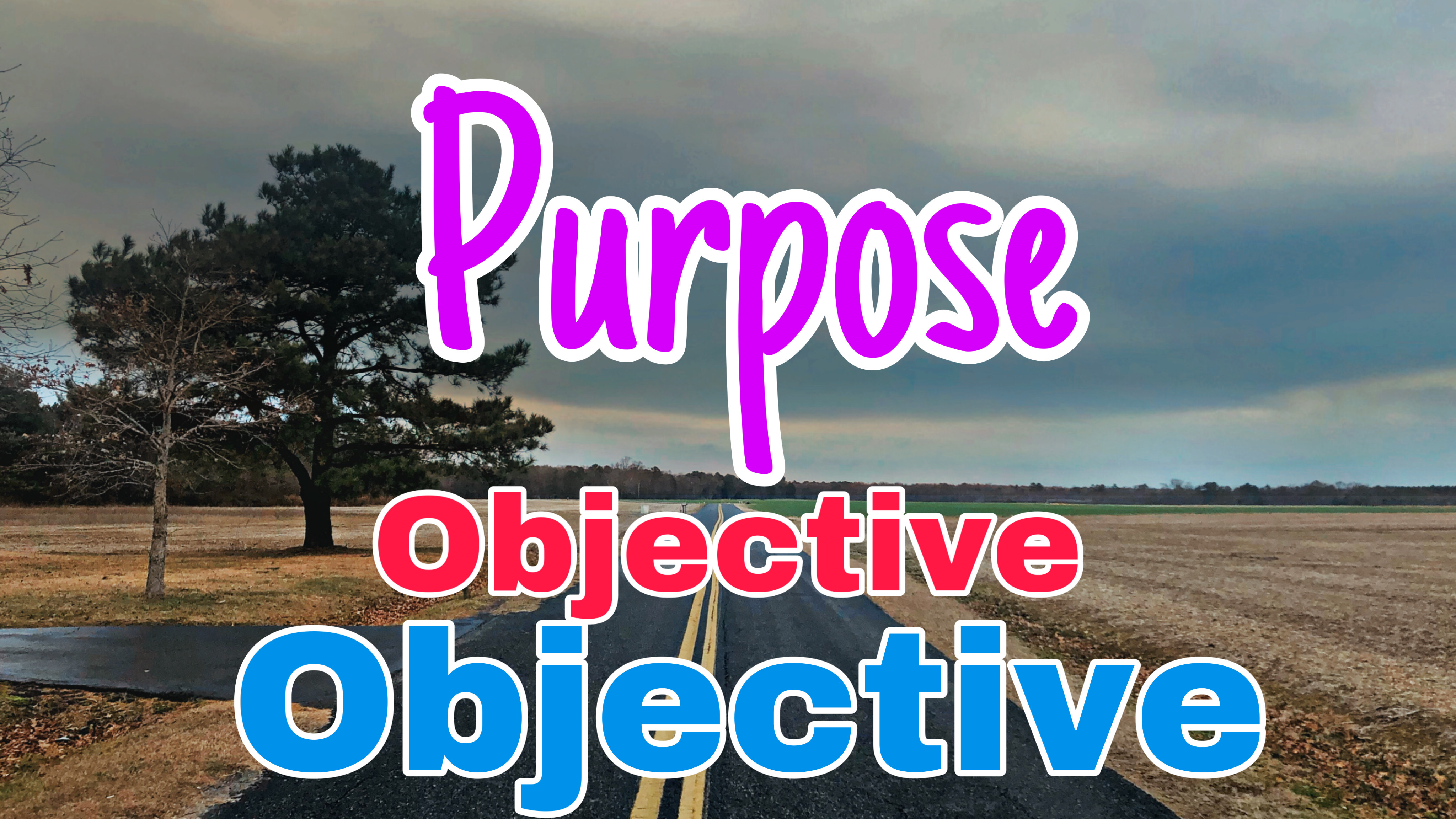 Objectives are the means to construct your purpose